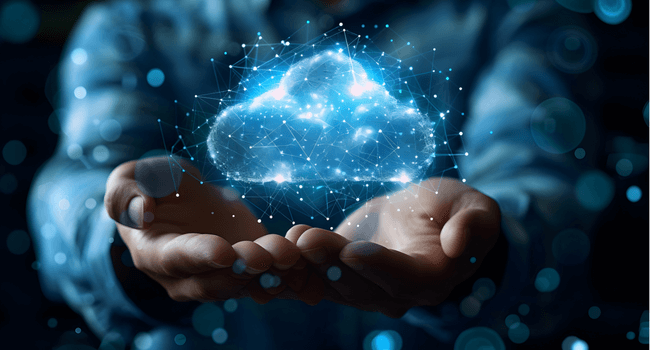 Oracle Fusion Customizations